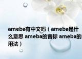 ameba有中文吗（ameba是什么意思 ameba的音标 ameba的用法）