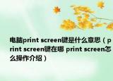 电脑print screen键是什么意思（print screen键在哪 print screen怎么操作介绍）