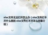 xlsx文件无法打开怎么办（xlsx文件打不开什么原因 xlsx文件打不开怎么回事介绍）