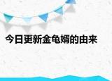 今日更新金龟婿的由来