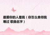 最爱你的人是我（你怎么舍得我难过 歌曲名字）