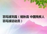 羽毛球刘霞（杨秋霞 中国残疾人羽毛球运动员）