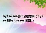 by the sea是什么意思啊（by sea 和by the sea 区别.）
