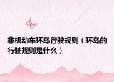 非机动车环岛行驶规则（环岛的行驶规则是什么）