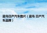 蓝鸟日产汽车图片（蓝鸟 日产汽车品牌）