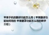 苹果手机的翻译功能怎么用（苹果翻译功能如何用的 苹果翻译功能怎么用的教学介绍）