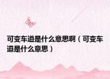 可变车道是什么意思啊（可变车道是什么意思）