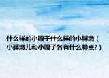 什么样的小嘎子什么样的小胖墩（小胖墩儿和小嘎子各有什么特点?）