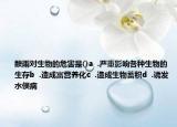 酸雨对生物的危害是()a  .严重影响各种生物的生存b  .造成富营养化c  .造成生物蓄积d  .诱发水俣病