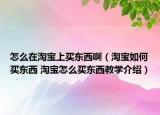 怎么在淘宝上买东西啊（淘宝如何买东西 淘宝怎么买东西教学介绍）