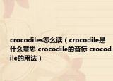 crocodiles怎么读（crocodile是什么意思 crocodile的音标 crocodile的用法）