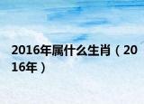 2016年属什么生肖（2016年）