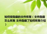 如何使隐藏的文件恢复（文件隐藏怎么恢复 文件隐藏了如何恢复介绍）