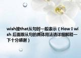 wish接that从句时一般表示（How I wish 后面跟从句的具体用法请详细解释一下十分感谢）