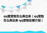 qq里宠物怎么弄出来（qq宠物怎么弄出来 qq宠物在哪介绍）