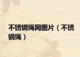 不锈钢绳网图片（不锈钢绳）