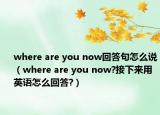 where are you now回答句怎么说（where are you now?接下来用英语怎么回答?）
