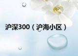 沪深300（沪海小区）