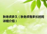 秋老虎多久（秋老虎有多长时间详细介绍）