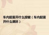 车内起雾开什么按键（车内起雾开什么循环）
