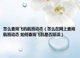 怎么查询飞机航班动态（怎么在网上查询航班动态 如何查询飞机是否延误）
