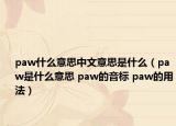 paw什么意思中文意思是什么（paw是什么意思 paw的音标 paw的用法）