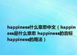 happiness什么意思中文（happiness是什么意思 happiness的音标 happiness的用法）