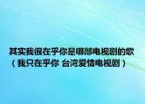 其实我很在乎你是哪部电视剧的歌（我只在乎你 台湾爱情电视剧）