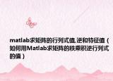 matlab求矩阵的行列式值,逆和特征值（如何用Matlab求矩阵的秩乘积逆行列式的值）