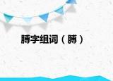 膊字组词（膊）