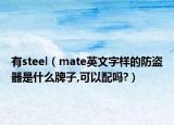 有steel（mate英文字样的防盗器是什么牌子,可以配吗?）