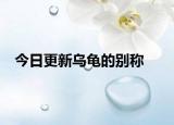 今日更新乌龟的别称