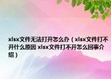 xlsx文件无法打开怎么办（xlsx文件打不开什么原因 xlsx文件打不开怎么回事介绍）