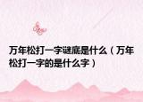 万年松打一字谜底是什么（万年松打一字的是什么字）