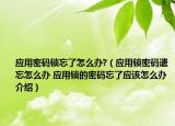 应用密码锁忘了怎么办?（应用锁密码遗忘怎么办 应用锁的密码忘了应该怎么办介绍）