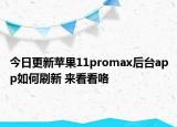 今日更新苹果11promax后台app如何刷新 来看看咯