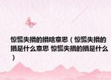 惊慌失措的措啥意思（惊慌失措的措是什么意思 惊慌失措的措是什么）