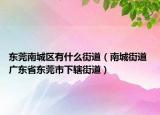 东莞南城区有什么街道（南城街道 广东省东莞市下辖街道）