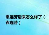袁连芳后来怎么样了（袁连芳）