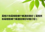 葛根片和葛根粉哪个解酒效果好（葛根茶和葛根粉哪个解酒效果好详细介绍）