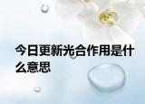 今日更新光合作用是什么意思