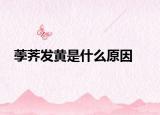 荸荠发黄是什么原因
