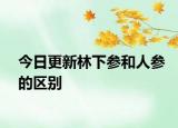 今日更新林下参和人参的区别