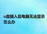 u盘插入后电脑无法显示怎么办