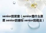 senior的发音（senior是什么意思 senior的音标 senior的用法）