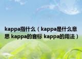 kappa指什么（kappa是什么意思 kappa的音标 kappa的用法）
