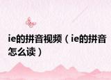 ie的拼音视频（ie的拼音怎么读）
