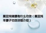 黑豆炖猪腰有什么功效（黑豆炖羊腰子功效详细介绍）