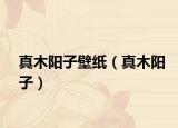 真木阳子壁纸（真木阳子）