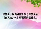 梁羽生小说白发魔女传（梁羽生的《白发魔女传》原著结局是什么）